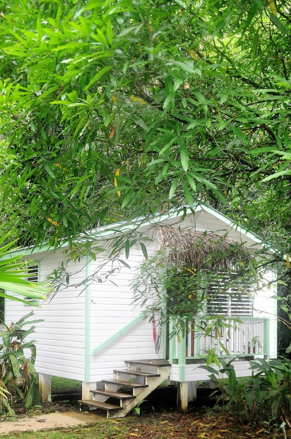 Hickatee Cottages, Belize, Central America Punta Gorda Extérieur photo
