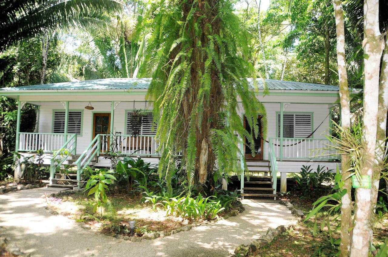 Hickatee Cottages, Belize, Central America Punta Gorda Extérieur photo